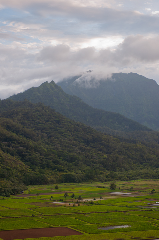 Hanalei Valley