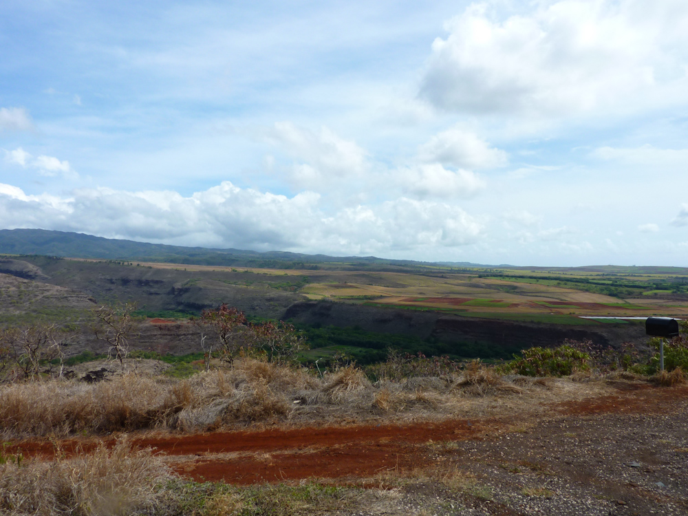 Overlooking Waimea Canyon to the East