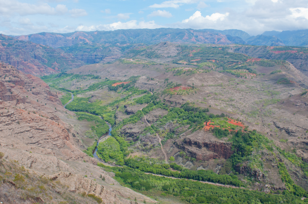 Waimea River