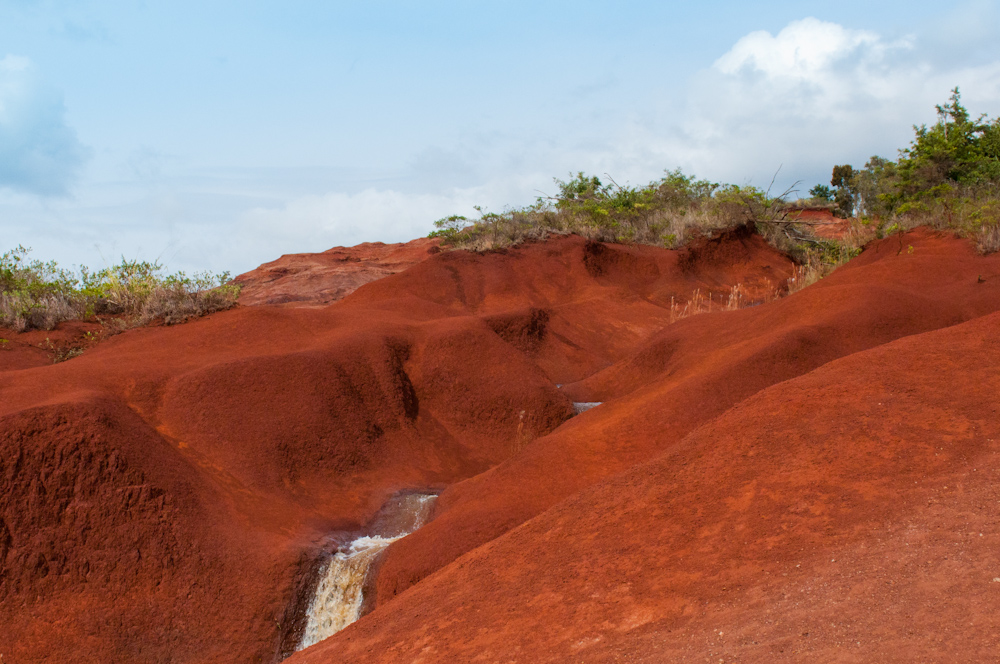 Stream along Waimea Canyon Drive