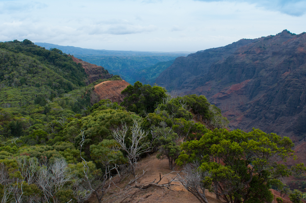 Cliff Viewpoint, Waimea Canyon