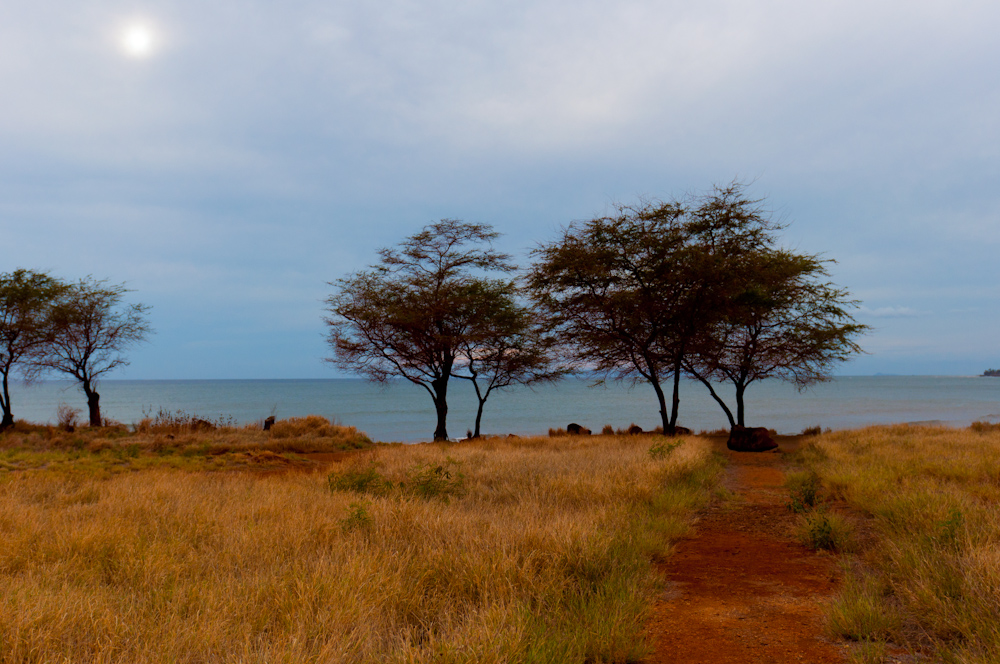 Russian Fort Elizabeth