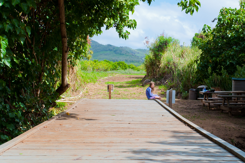 Bridge to Makauwahi Cave Reserve