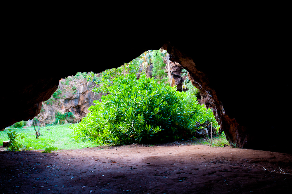 Makauwahi Cave