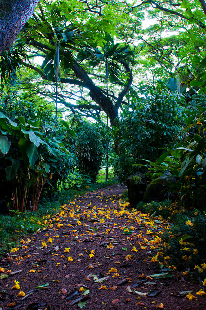 McBryde Garden at National Tropical Botanical Garden