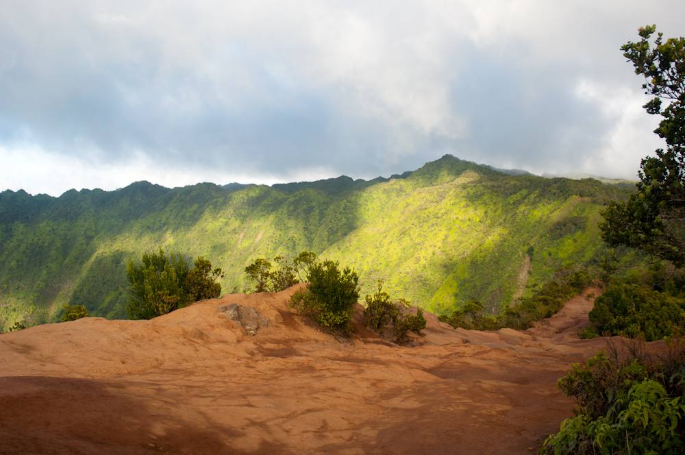 Na Pali Kona Forest Reserve Pihea Trail