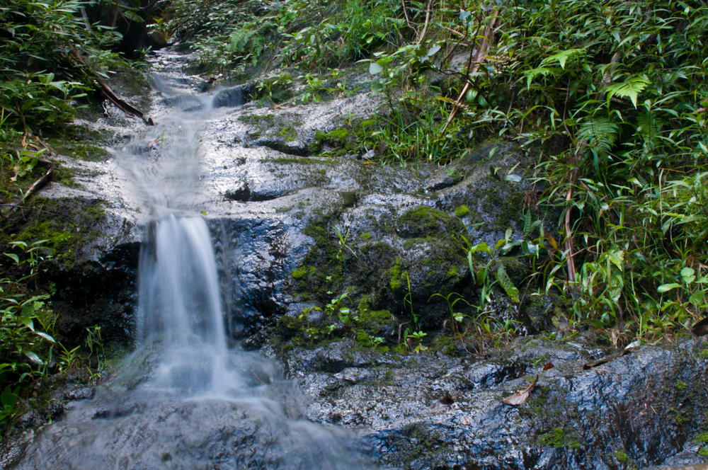 Small Stream on the Hanakapi’ai Trail