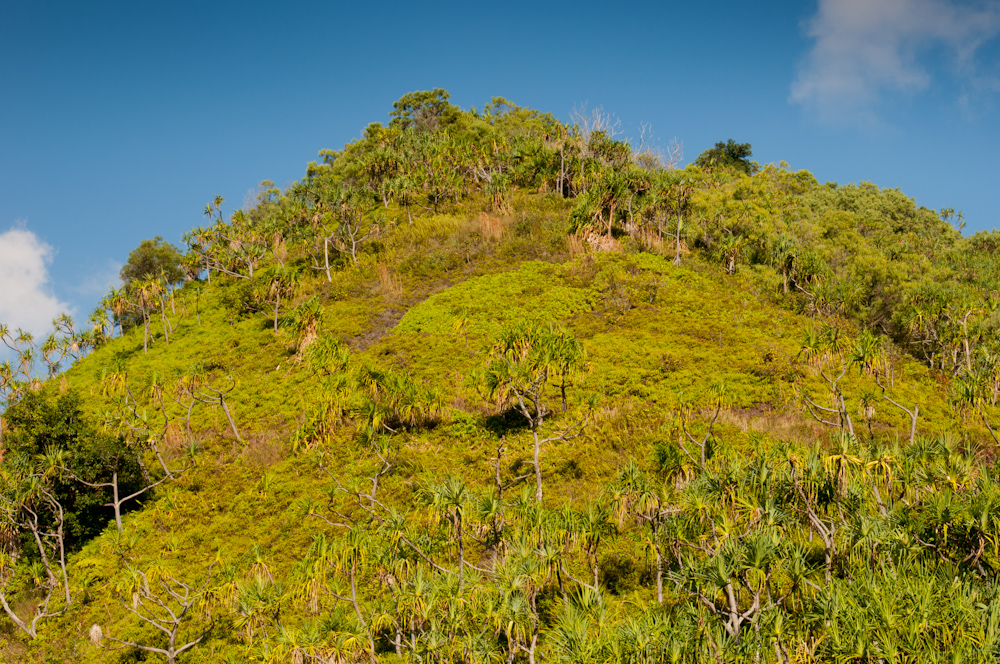 Highest Point on the Hanakapi’ai Trail